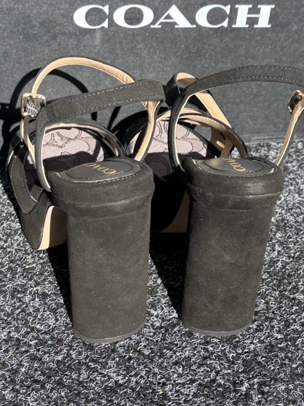 Coach Talina Suede Black Platform Sandals